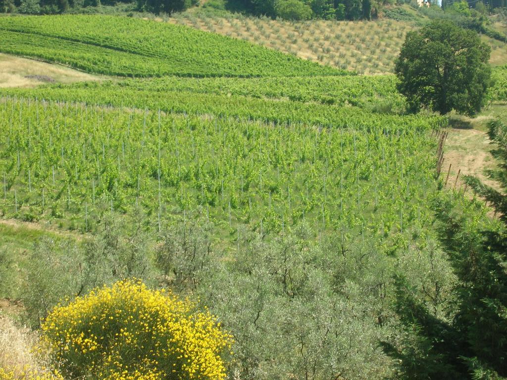 Podere Ghiole Montespertoli Eksteriør billede